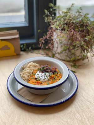  at Sprout Health Foods in Newquay