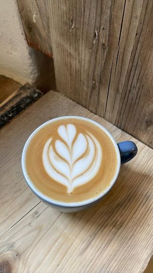  at Sprout Health Foods in Newquay