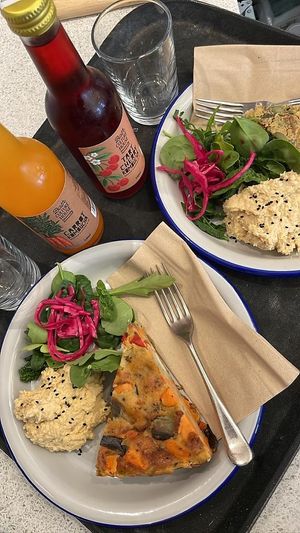  at Sprout Health Foods in Newquay