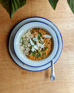 Coconut and tamarind curry at Sprout Health Foods in Newquay