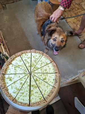 Key lime pie. Vegan G.F with no refined sugar (and with loads of zingy lime juice 😋) at Sprout Health Foods in Newquay