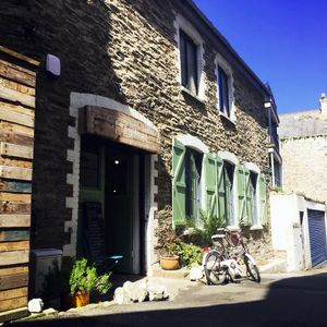 Spring at Sprout at Sprout Health Foods in Newquay