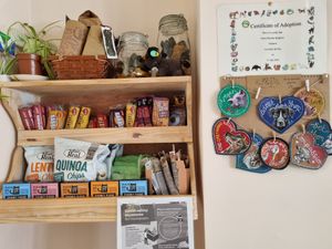 Snacks at Green Kitchen in Brighton