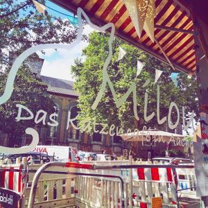 Cat Cafe at Milou in Aachen