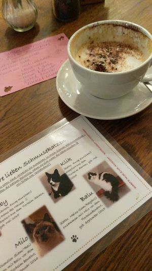 Delicious mochaccino with soy milk and a vegan cookie. at Milou in Aachen