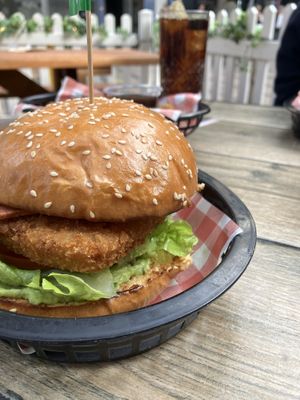   at The Hold in Manly