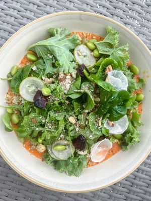 summer Cauliflower  at Mowie's  in 