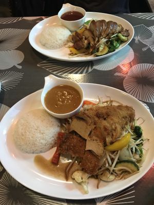 Hong Kong style with satay sauce (front) and Shanghai style with sweet and sour at Asia-Chay Vegan Cuisine in Bottrop