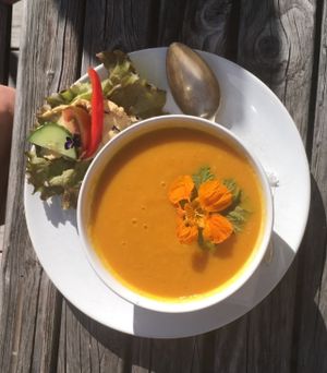 Ginger / carrot soup  at Cafe Samt in Enkoeping