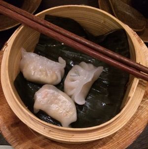 steamed Dumplings with Tofu and veggies at Hum Vegan Cuisine in Berlin