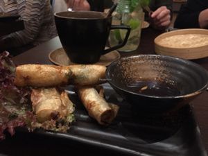 spring rolls at Hum Vegan Cuisine in Berlin