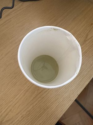   at SuBte Vegan in Sao Paulo