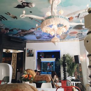 Ceiling and chandelier at Tai Boh in Tallinn