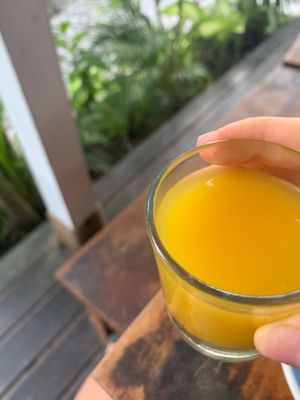 immune booster shot at The Shady Shack in Canggu