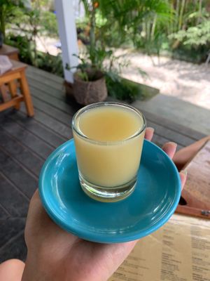 yummy tummy probiotic shot at The Shady Shack in Canggu