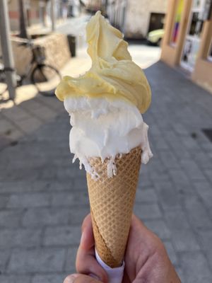 Vegan Ice cream  at Heladeria La Nativa in Fuerteventura