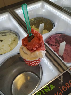 Vegan icecream at Heladeria La Nativa in Fuerteventura