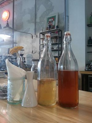 fresh handmade herbal tea at Bar Lento in Rimini