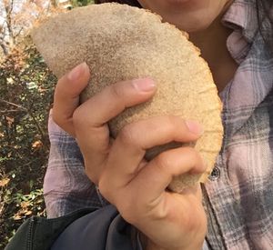 Empanada - $1500 at Planta Maestra - Vitacura in Santiago