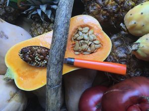 graine de courge fair maison at La Boite a Dejeuner in Le Mans