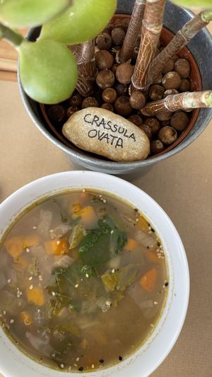 Sopa fantástica  at Alfarroba Cafe in Albufeira