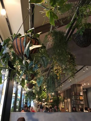 Inside  at Mr. Farmer - Shinjuku in Tokyo