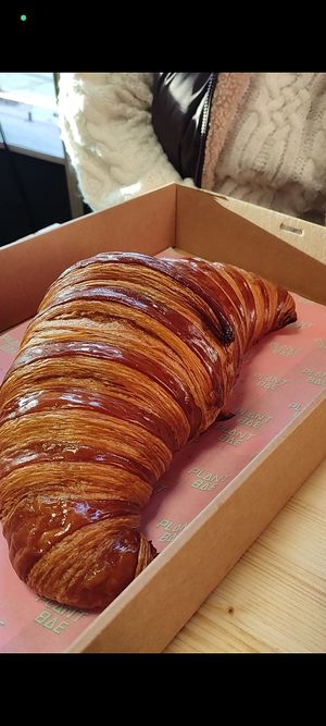 Giant croissant gi at Hey Plant Bae in Edinburgh