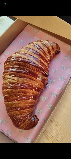 Giant croissant at Hey Plant Bae in Edinburgh