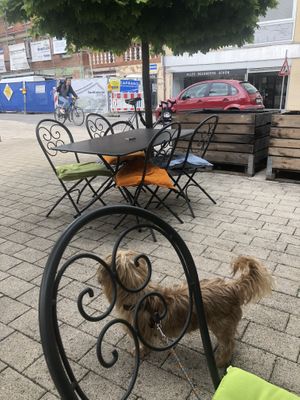 Dogs welcome! at Ich Bin So Frey in Landau