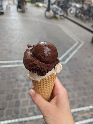 Chocolate sorbet and vegan hazelnut at Hof Eis in Freiberg