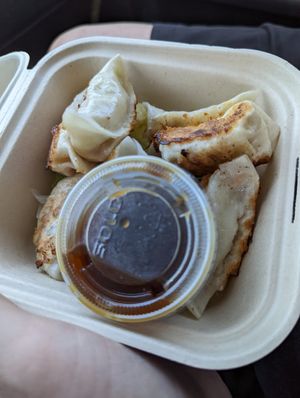 Potstickers at Veggie Village in Phoenix