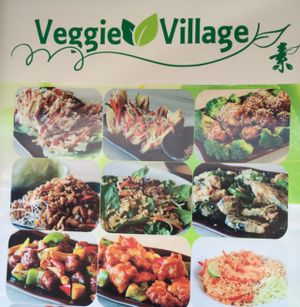 Wonderful menu !!  at Veggie Village in Phoenix