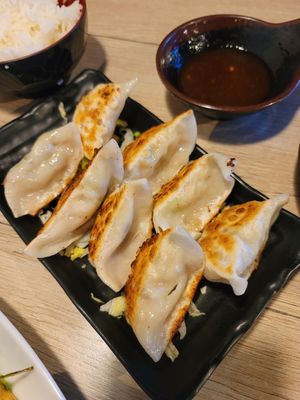 Pot stickers at Veggie Village in Phoenix