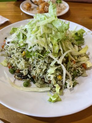 Village fried rice   at Veggie Village in Phoenix