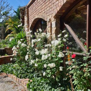  at Bocca Dolce in Western Cape