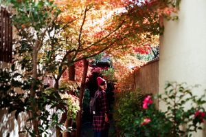 Entrance is a long aisle with beautiful tree. I take a picture to my girlfriend in here. at Vegan Ramen Towzen in Kyoto