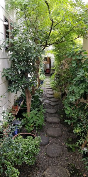  at Vegan Ramen Towzen in Kyoto