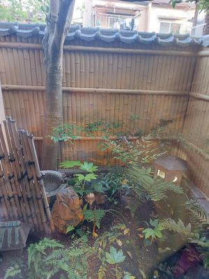 The Ramen was really delicious, for me personally, so far was the best ramen found in Kyoto, worth the waiting. Definitely will come back here again. at Vegan Ramen Towzen in Kyoto