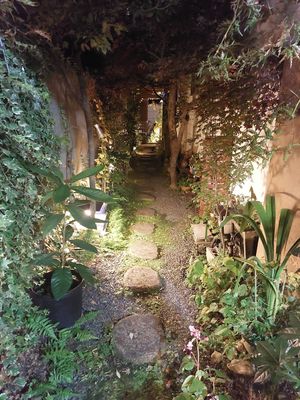  at Vegan Ramen Towzen in Kyoto