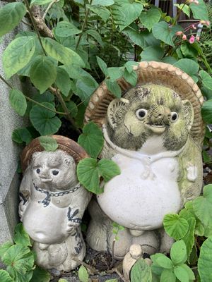 Towzen Greeters 😊 at Vegan Ramen Towzen in Kyoto