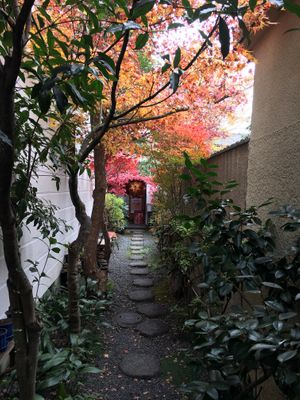 Beautiful autumn approach  at Vegan Ramen Towzen in Kyoto