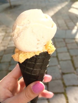 Chestnut + pumpkin at Veganista Ice Cream III in Vienna