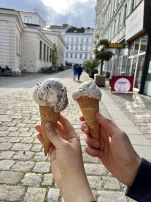 Cookies & Mohn  at Veganista Ice Cream III in Vienna