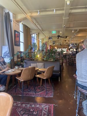   at Mezze Bar in Auckland