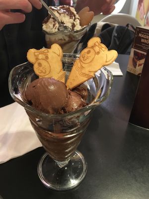 Vegan chocolate ice cream with vegan wafers! (Non vegan ice cream in background)  at Slodki Wentzl - Galeria Krakowska in Krakow