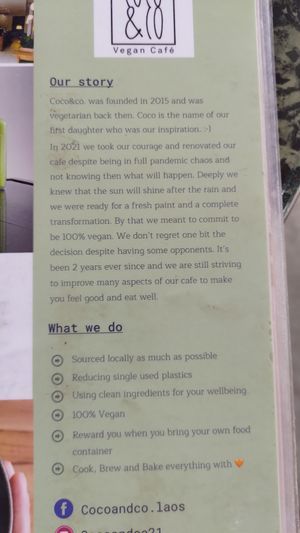 Fully vegan since the pandemic (except honey) at Coco&Co in Vientiane