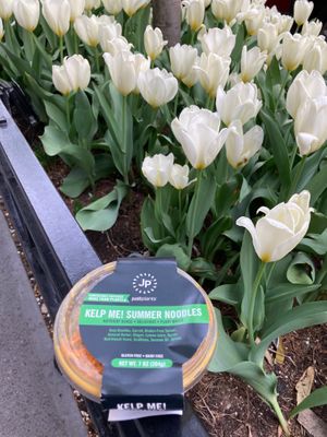 Kelp noodles. at Juice Press - East Village E 10th St in New York City