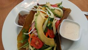 The lettuce wrap is amazing! at Vibrance in Albuquerque