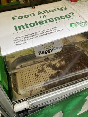  at Jerusalem Falafel - Food Stall in London