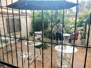 Back garden area at Cardamomo in Bogota